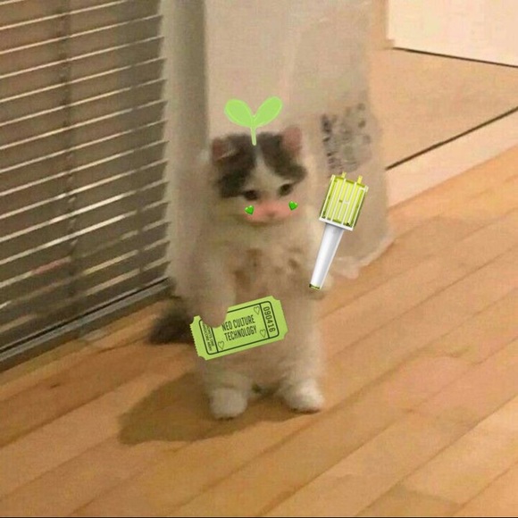 Meet your Posher, Jessics - Picture 1 of 1